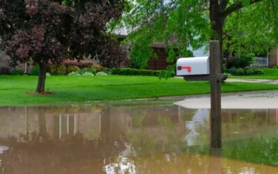 6 Tips for Dealing with Flooding in the Northeast