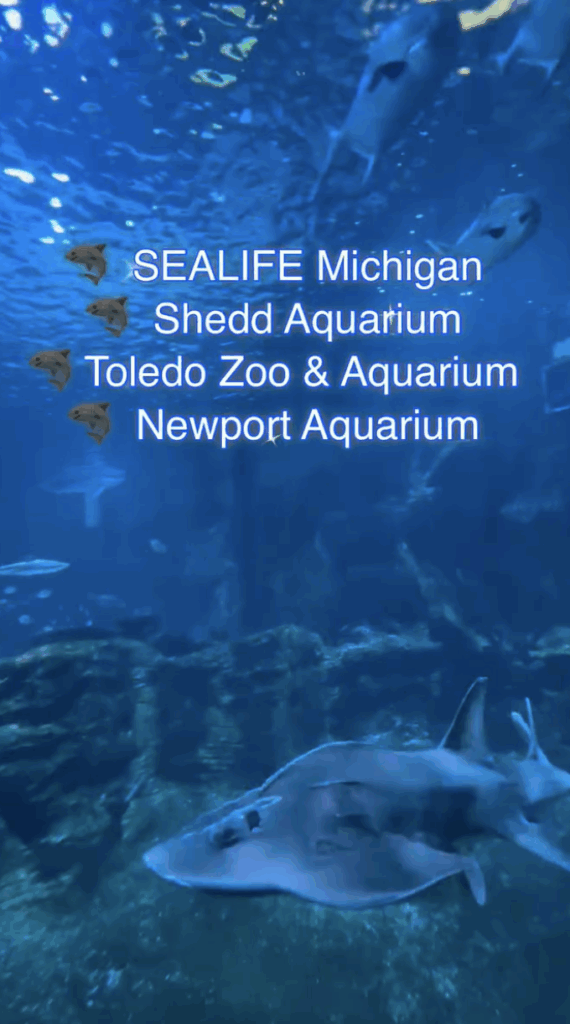 sharkspots share 2024