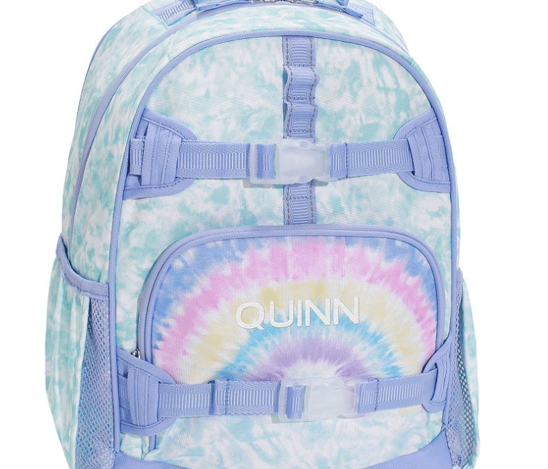 Pre-K to High School: 8 Must-Have Backpacks and Lunch Boxes