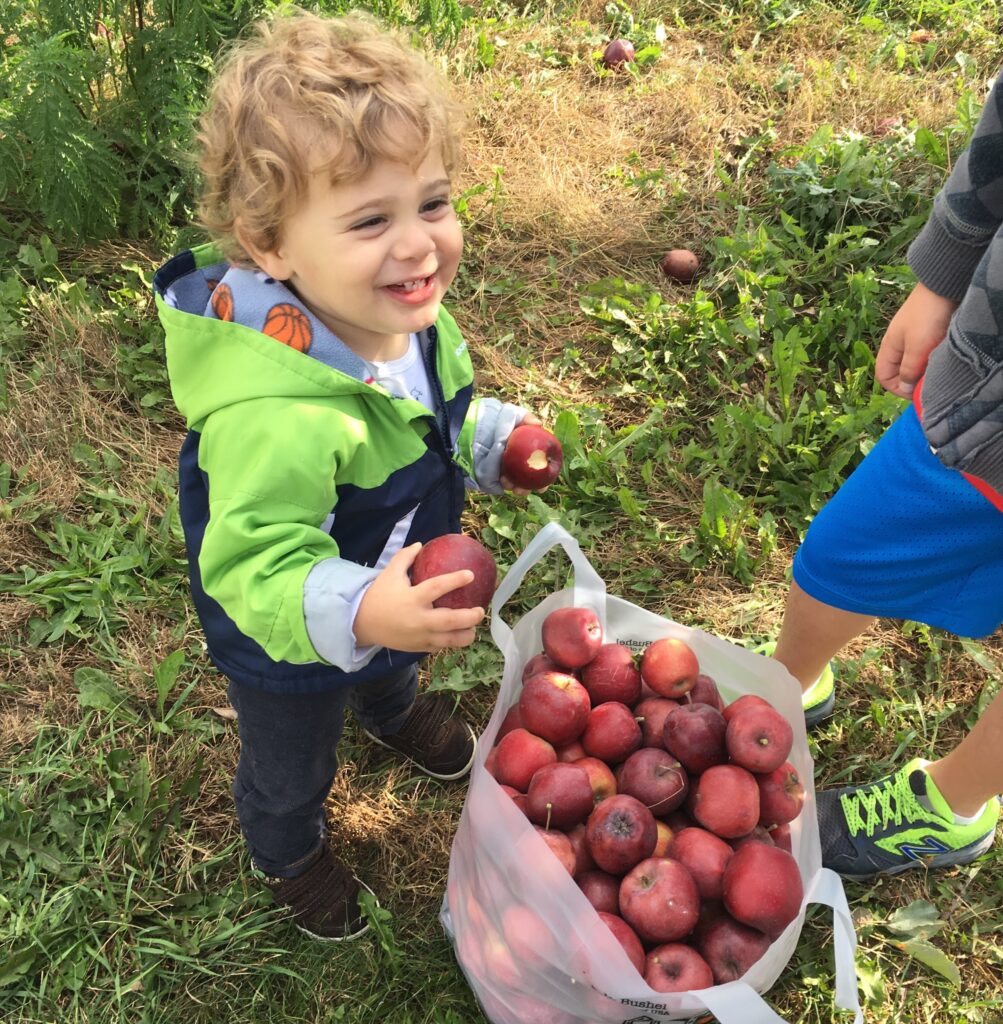 14 Apple Picking Orchards Near and Far | Chicago's North Shore
