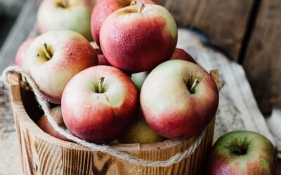 Apple Picking Near Houston: Where to Go (and What to Expect)