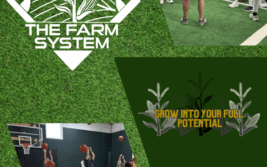 Local Business Spotlight: The Farm System