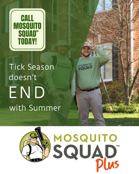 Think Tick Season is Over? Here’s Why It’s Not