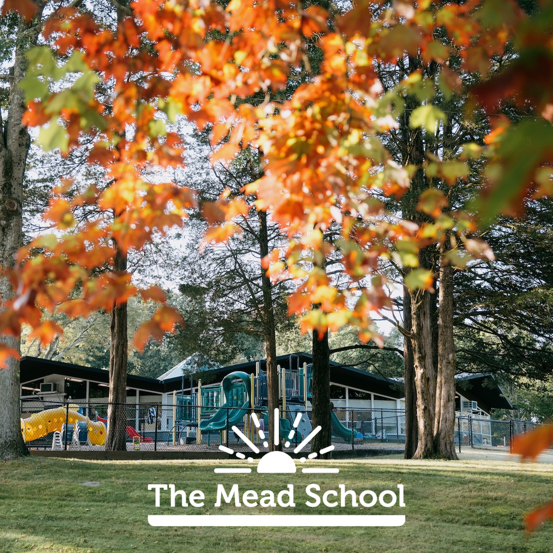 mead 2025