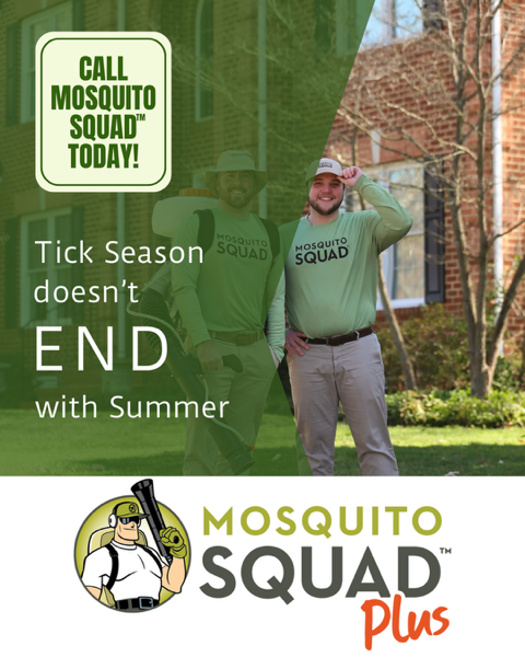 Think Tick Season is Over? Here’s Why It’s Not