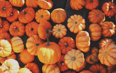 🍂 Fall Activity Guide for Littles