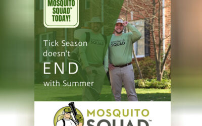 Think Tick Season is Over? Here’s Why It’s Not