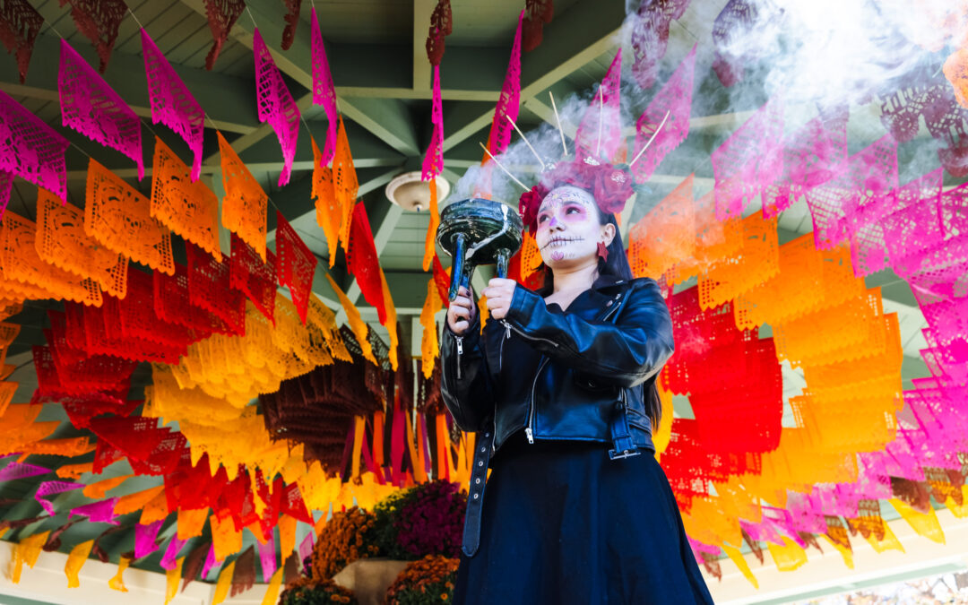 2nd annual Downtown Highland Park’s Día de los Muertos Week!