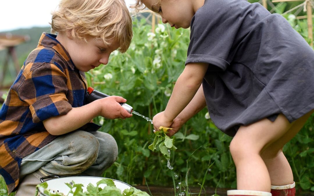Fall Planting Information from Grower’s Outlet