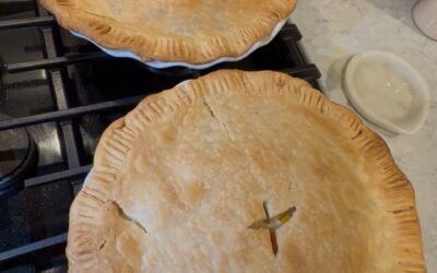 Favorite Chicken Pot Pie Recipe!
