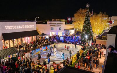 Winter Fest at Cross County Center