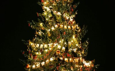 Holiday Lights Around Houston