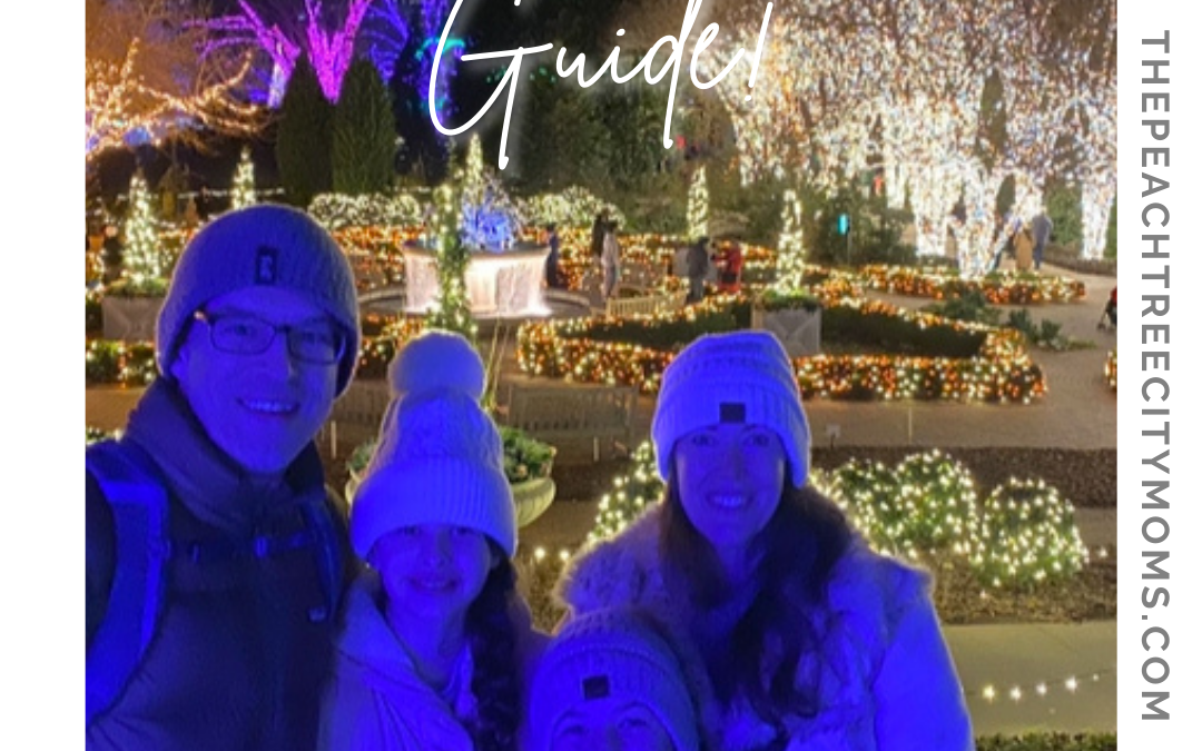 Where To See Christmas Lights!