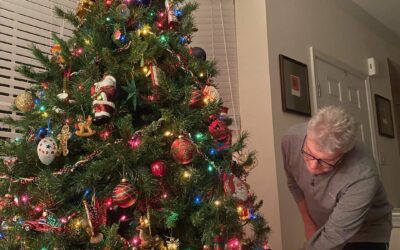 Holiday Traditions