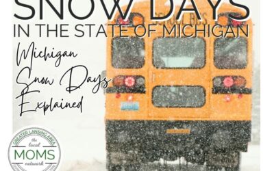Michigan Snow Days Explained