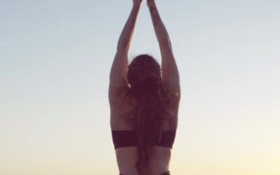Fitness & Wellness Guide 2026