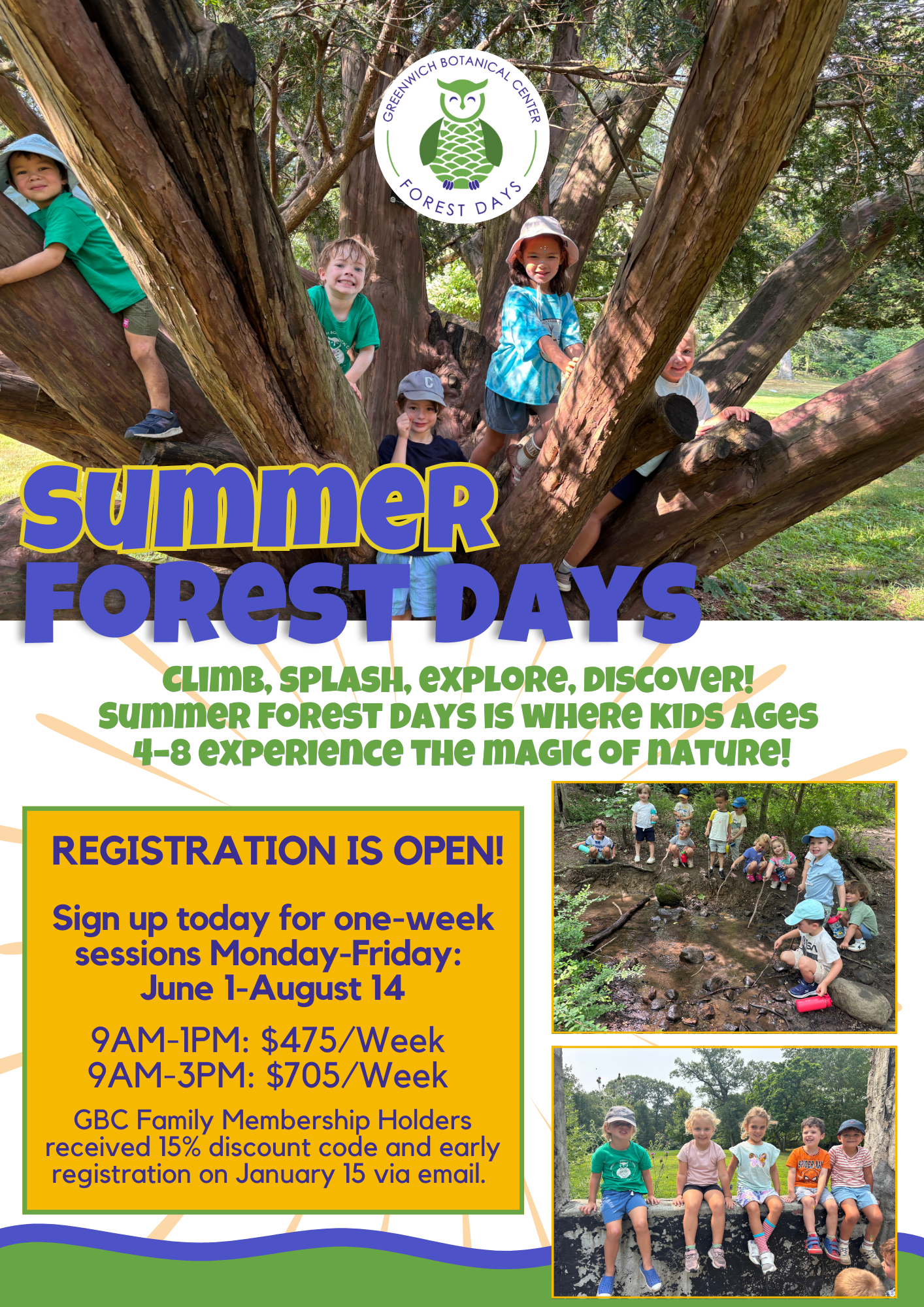 2026 Summer Forest Days (1) - Alana Kontos
