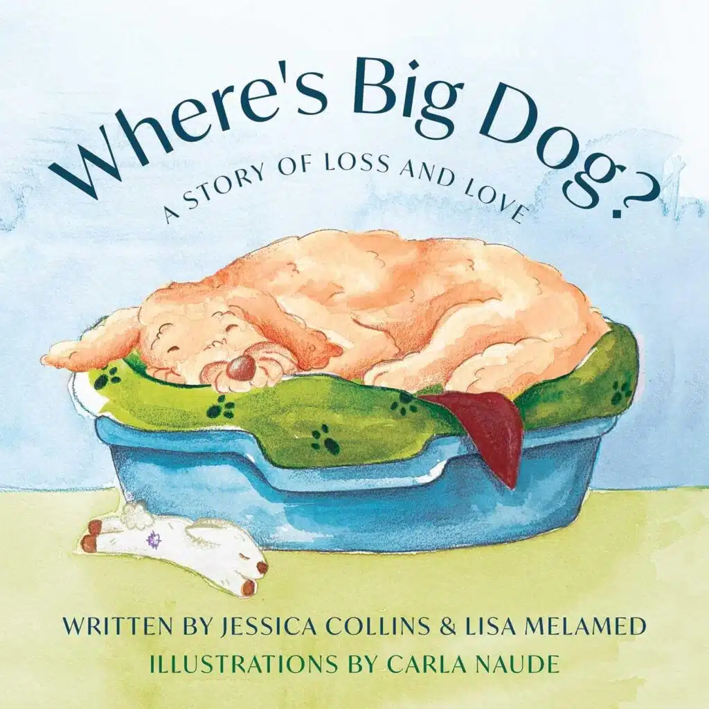 where's big dog