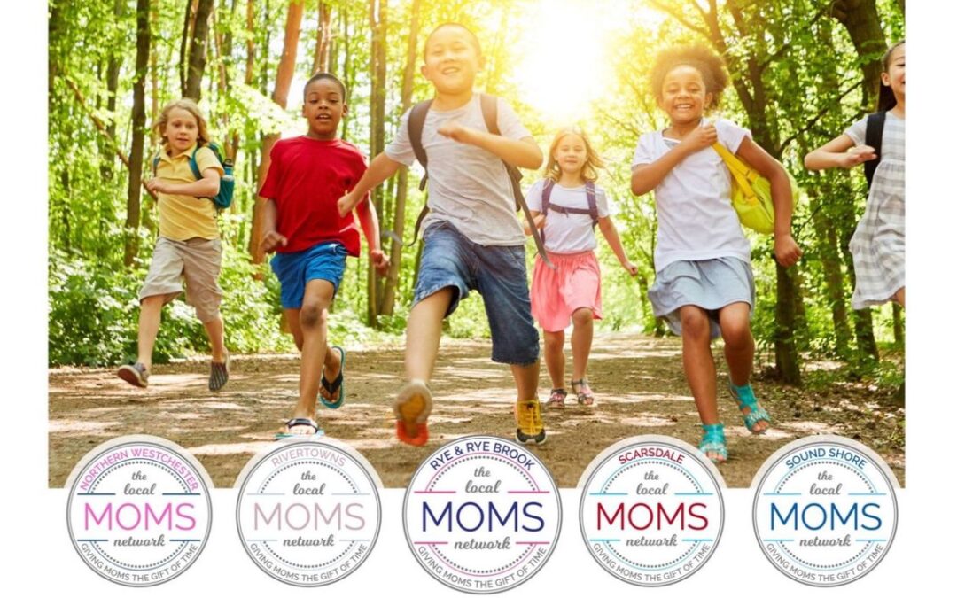 Westchester Day Camp Guide 2026