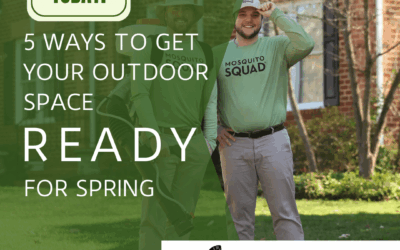 Mosquito Squad Plus