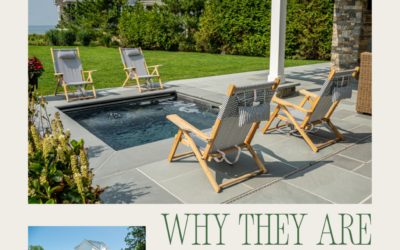 Plunge Pools: Why They’re Perfect for Busy Families