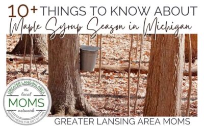 10 Things to Know About Maple Syrup Season in Michigan