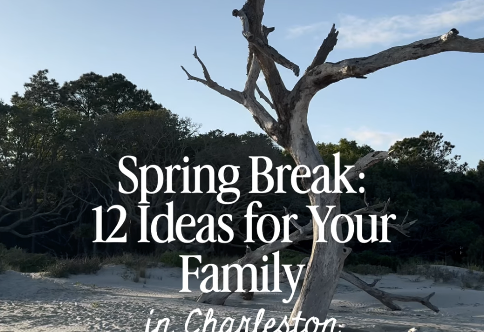 Spring Break Ideas in Charleston!