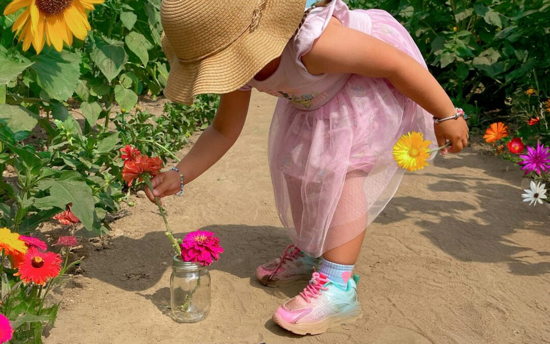 June Family-Friendly Events on Chicago’s North Shore