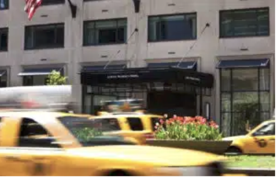 Spring in New York City: Ideas and Itineraries
