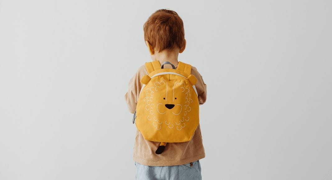 Daycare or Nanny? How to Chose for your Family