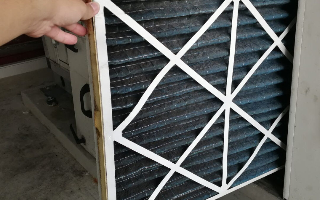 5 Spring Cleaning Tips to Catch Hidden Mold