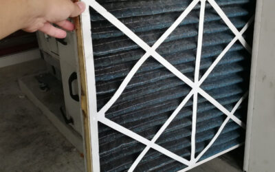 5 Spring Cleaning Tips to Catch Hidden Mold