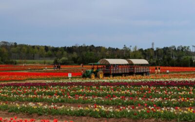 Farms & Outdoor Gardens to Visit