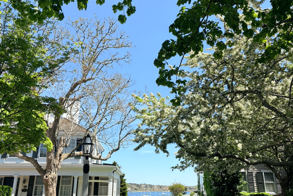 Family Trip to Martha’s Vineyard