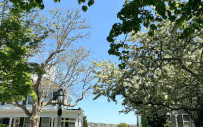 Family Trip to Martha’s Vineyard