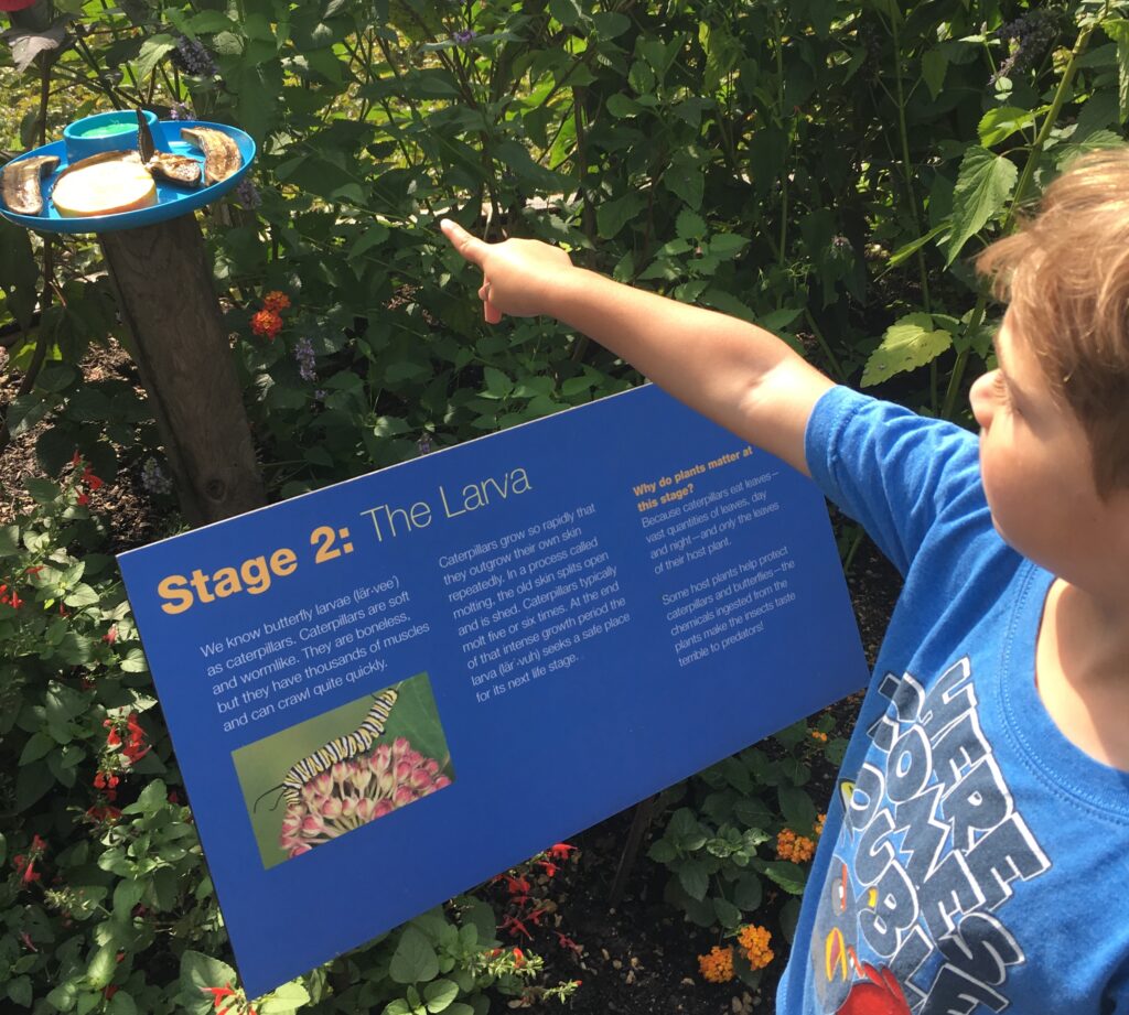 Engaging Activities to do with the Kids This Summer | Chicago North Shore Moms
