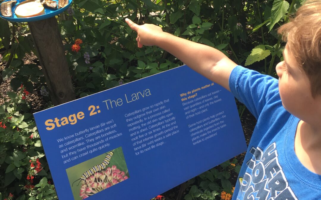 8 Engaging Activities to do with the Kids This Summer | Chicago North Shore Moms