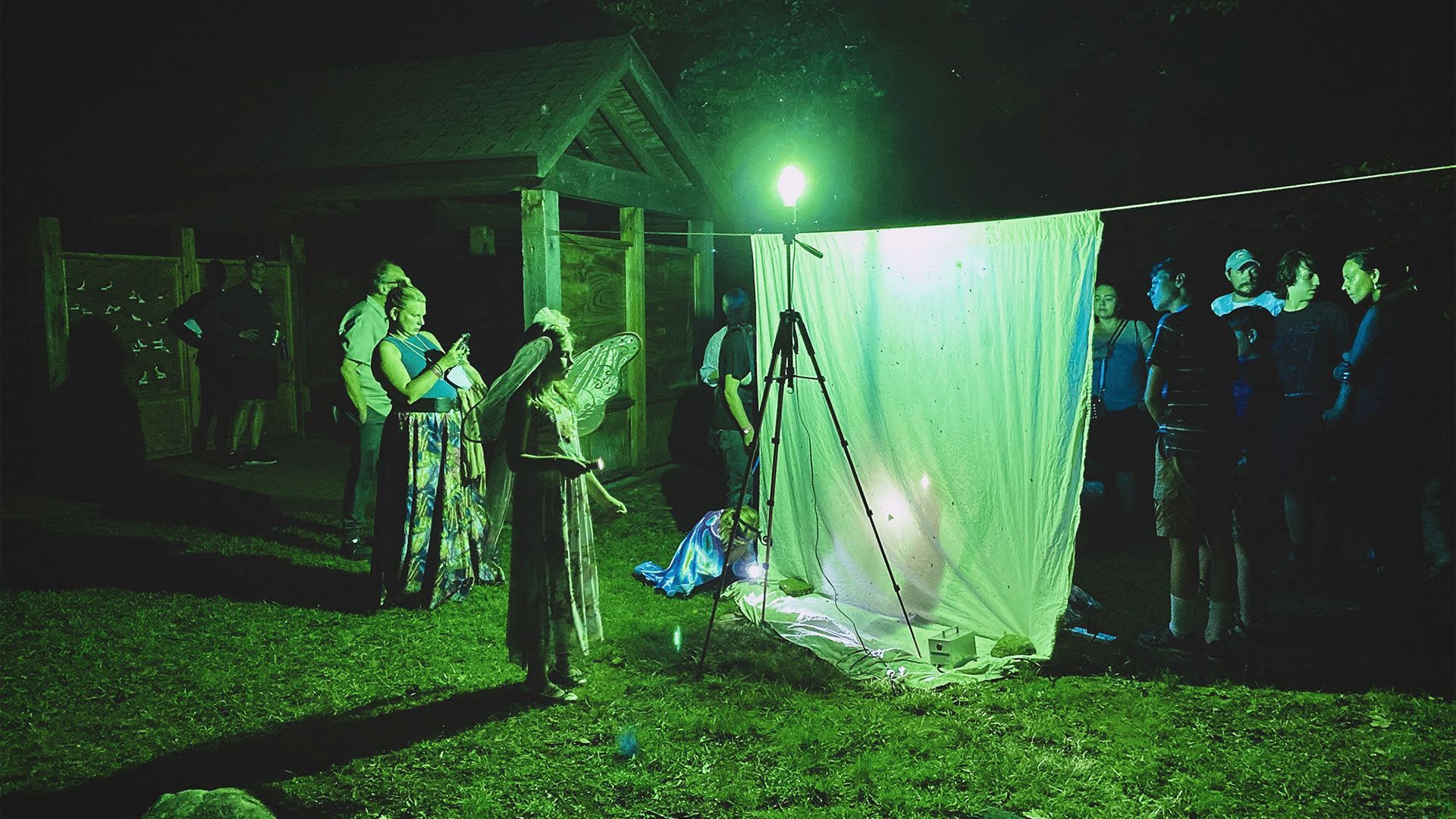 Moth-Ball-Featured-Photo-16.9