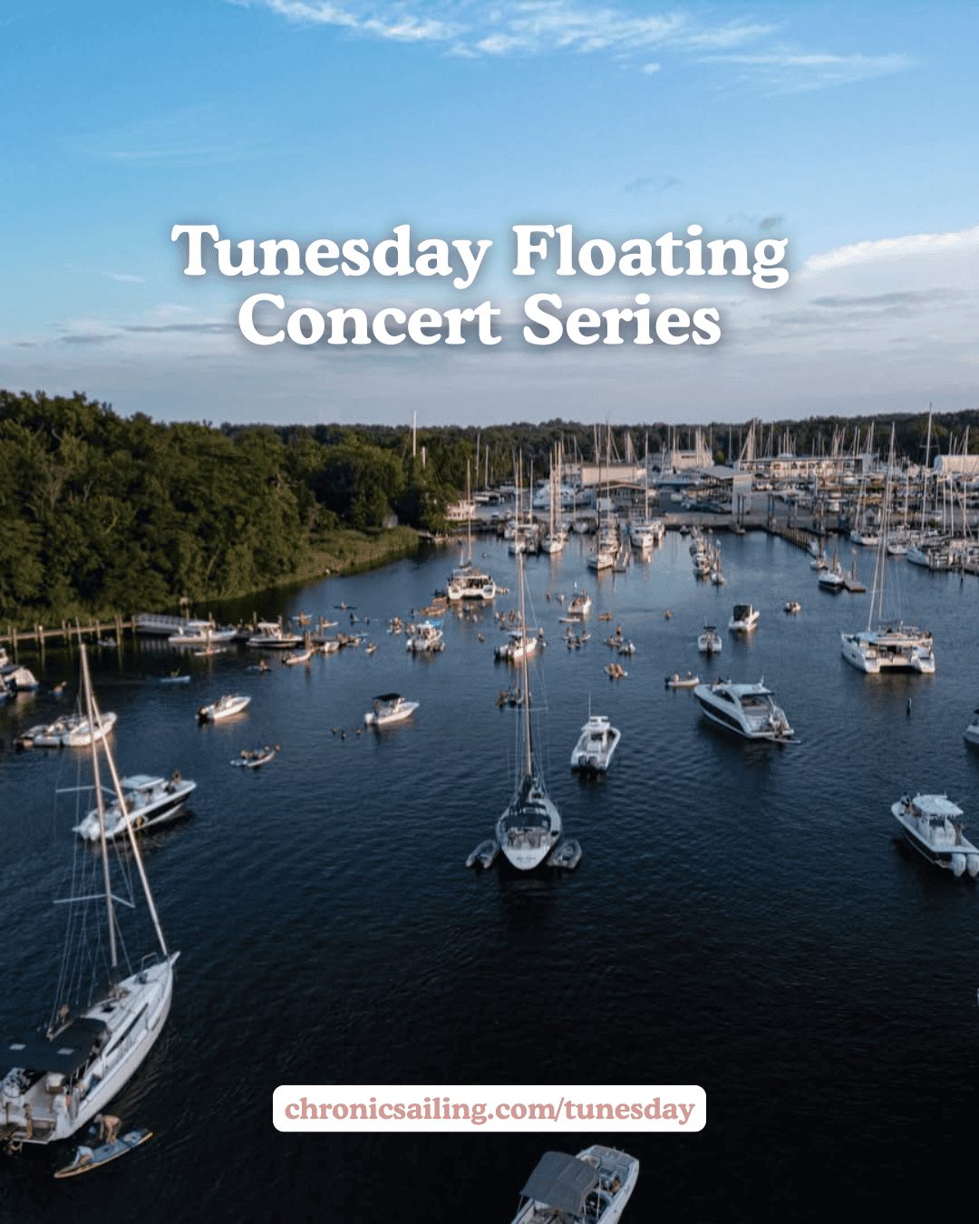 Marina with boats and yachts during daytime for Tunesday Floating Concert Series in Ocean City.