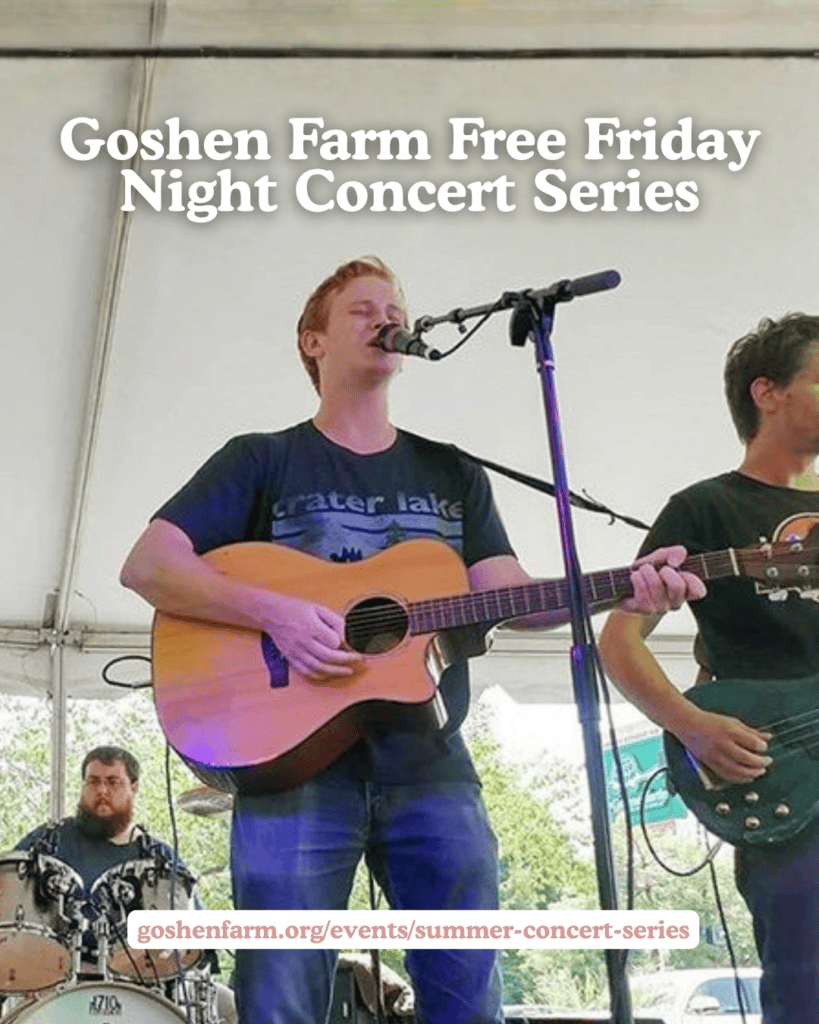 Young musician playing guitar at Goshen Farm Free Friday Night Concert Series.