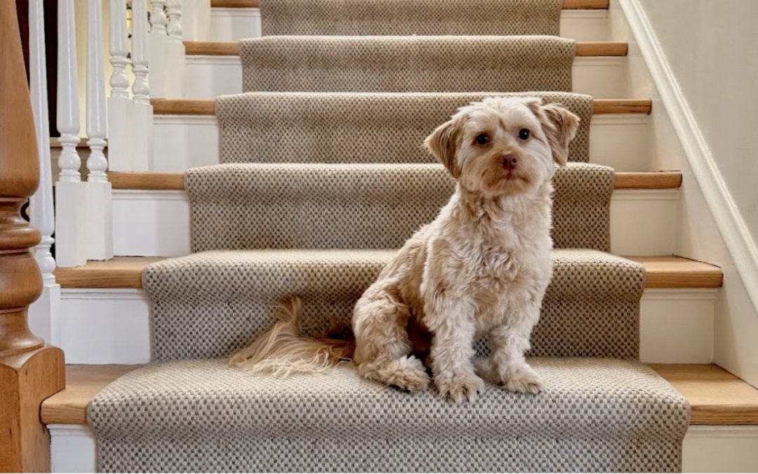 2026 Top Stair Runner Trends | Chicago North Shore Moms