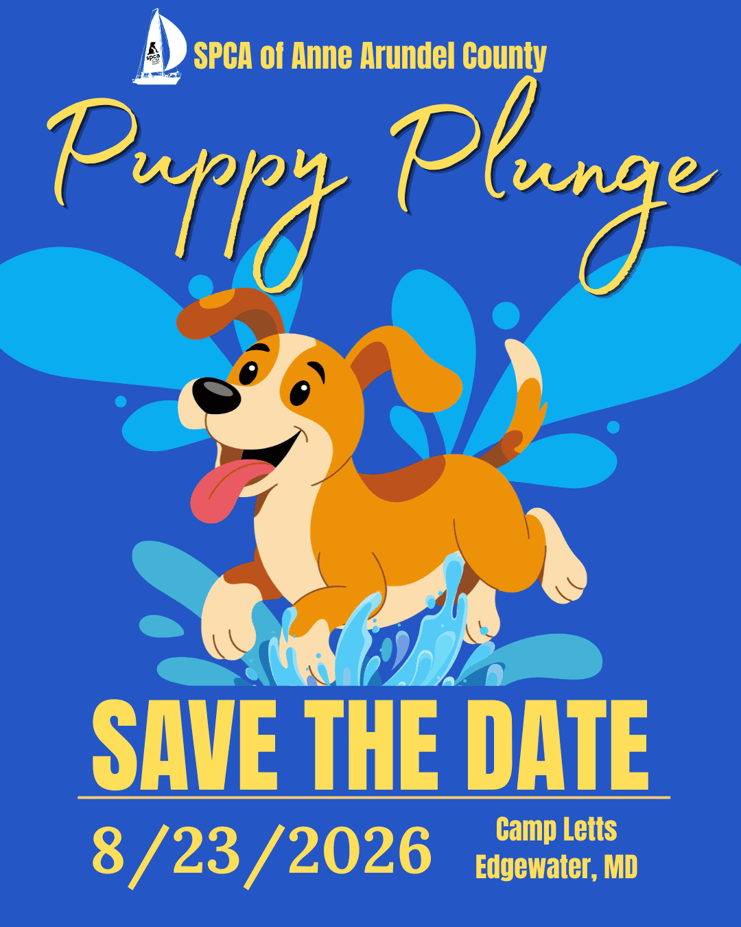 Cute puppy splashing in water for SPCA Puppy Plunge event in Edgewater, MD, August 23, 2026.