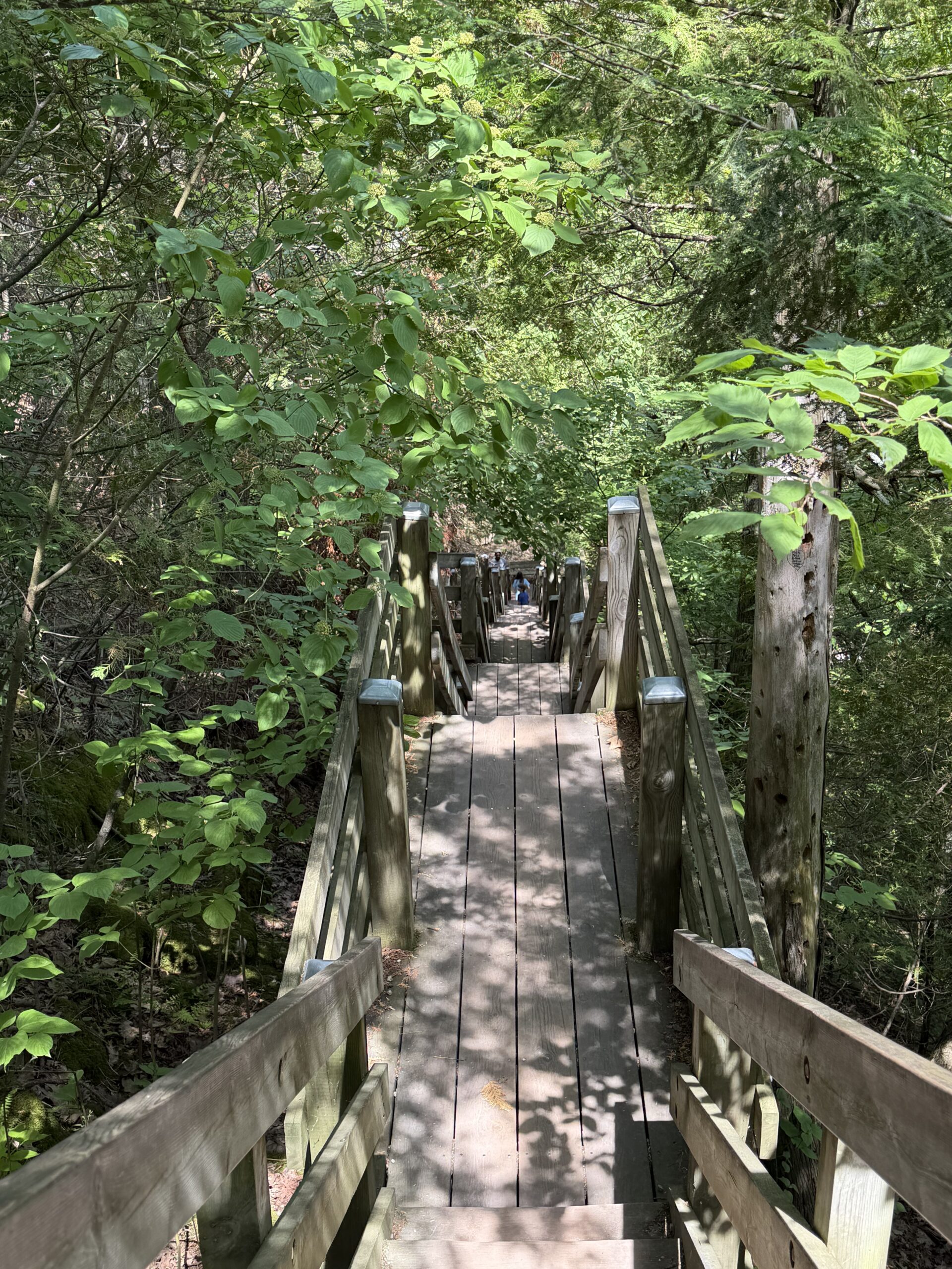 Mountain Park Lookout Tower | Chicago North Shore Moms