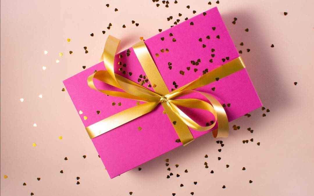 The Extraordinary Holiday Gift Guide!