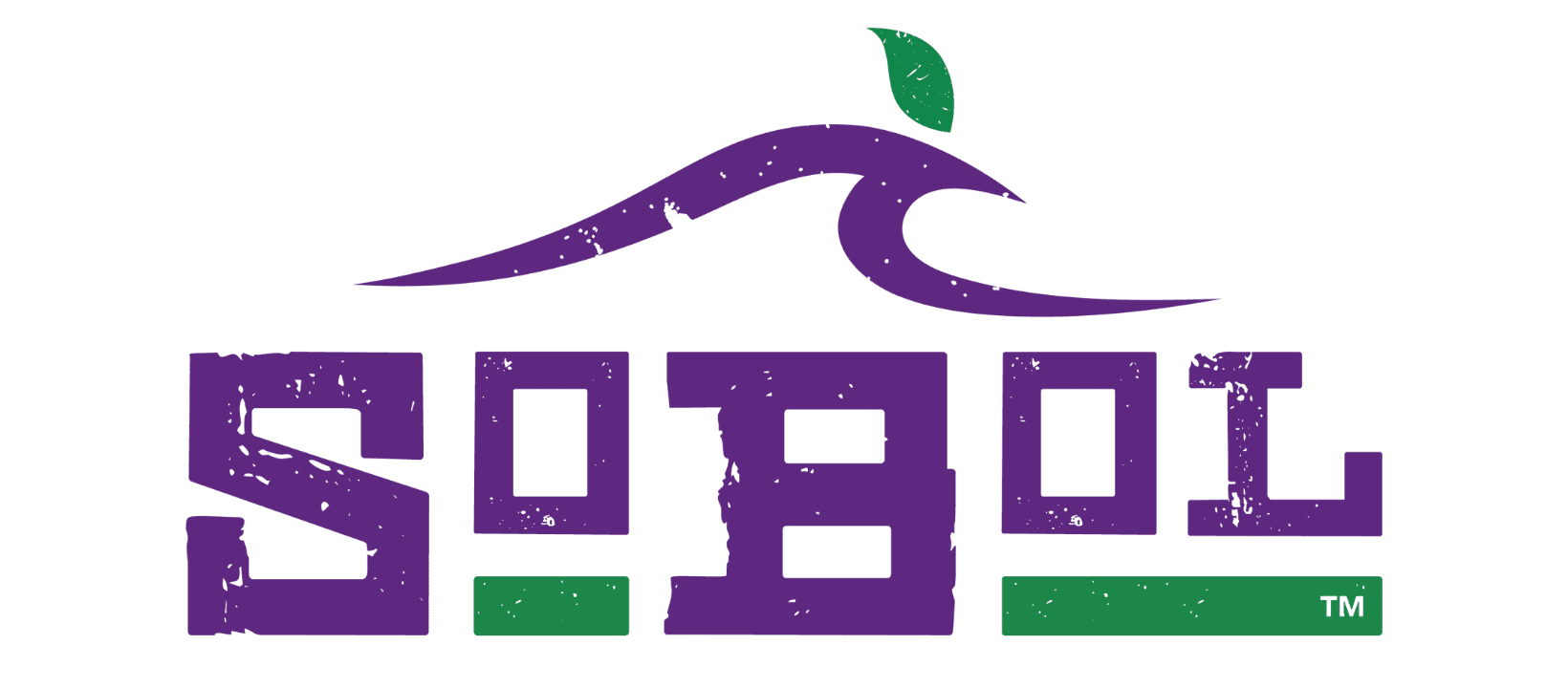 sobol 5