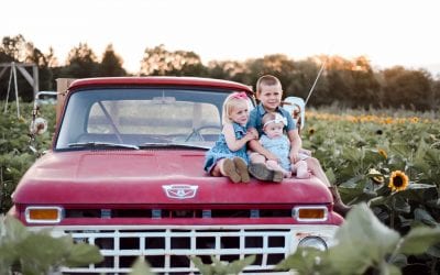 Stony Hill Farm Welcomes Families to New Jersey’s Sunflower Festival!