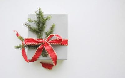 The Local Moms Network Holiday Gift Guide!