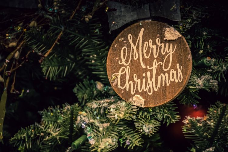 Where to Find Your Perfect Tree