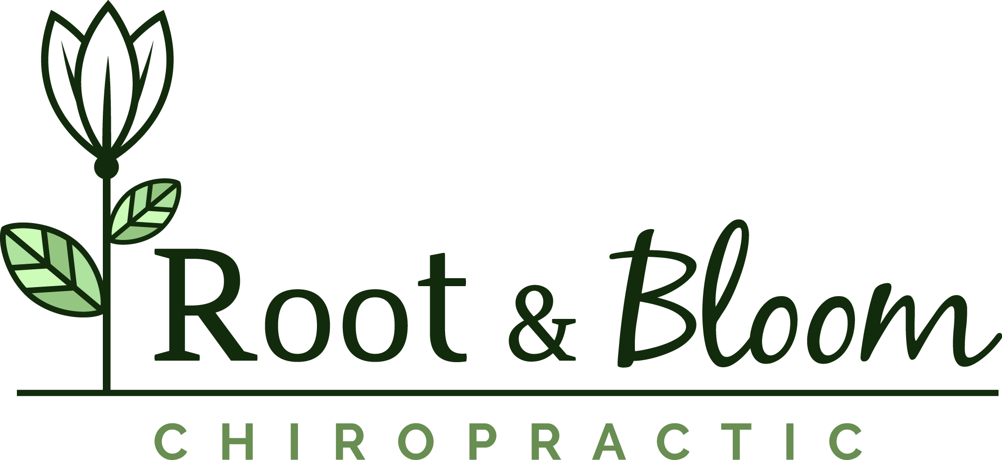 root and bloom with line transparent png