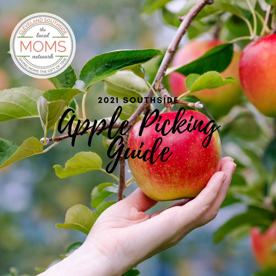 Apple Picking Guide